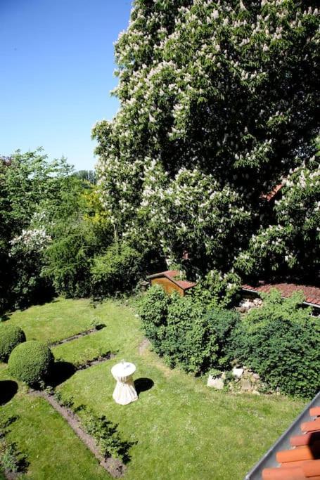 Haus Keppelborg: Zi Elisabeth Mit Burgmauerblick Apartment Heek Ngoại thất bức ảnh